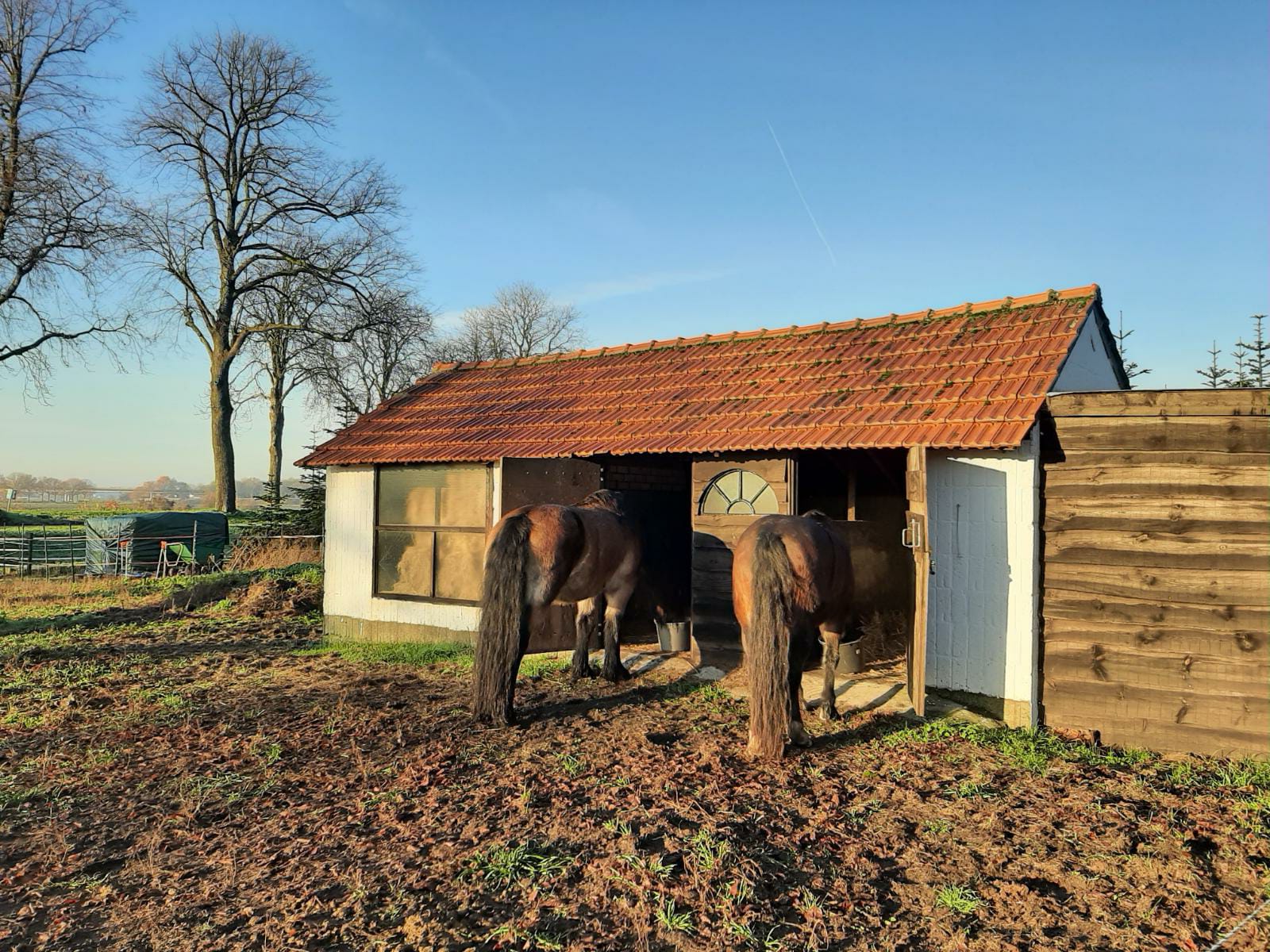 paardenstal 2
